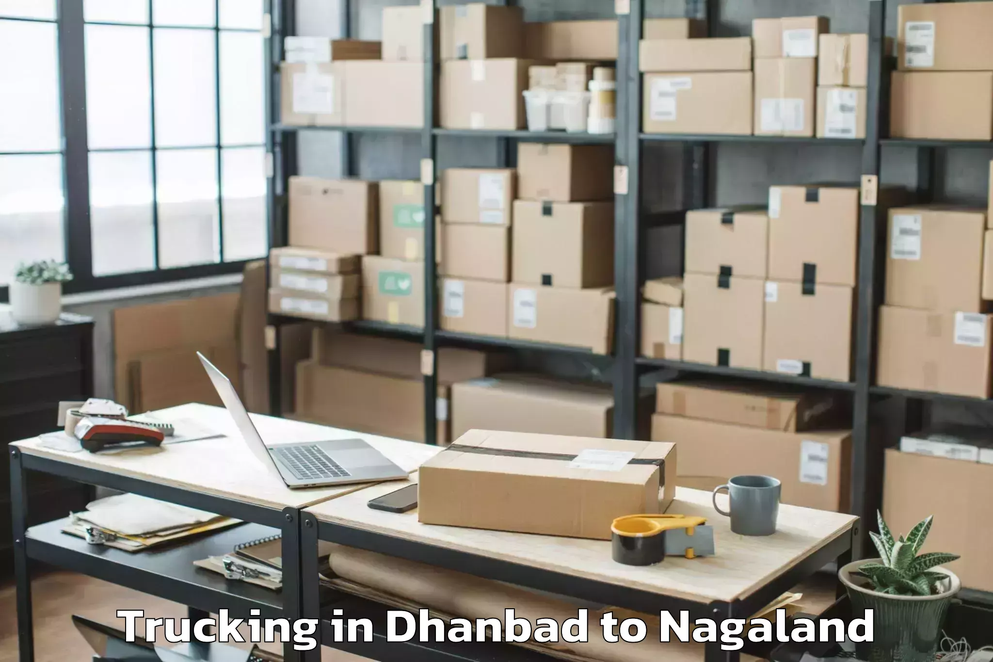 Professional Dhanbad to Peren Trucking